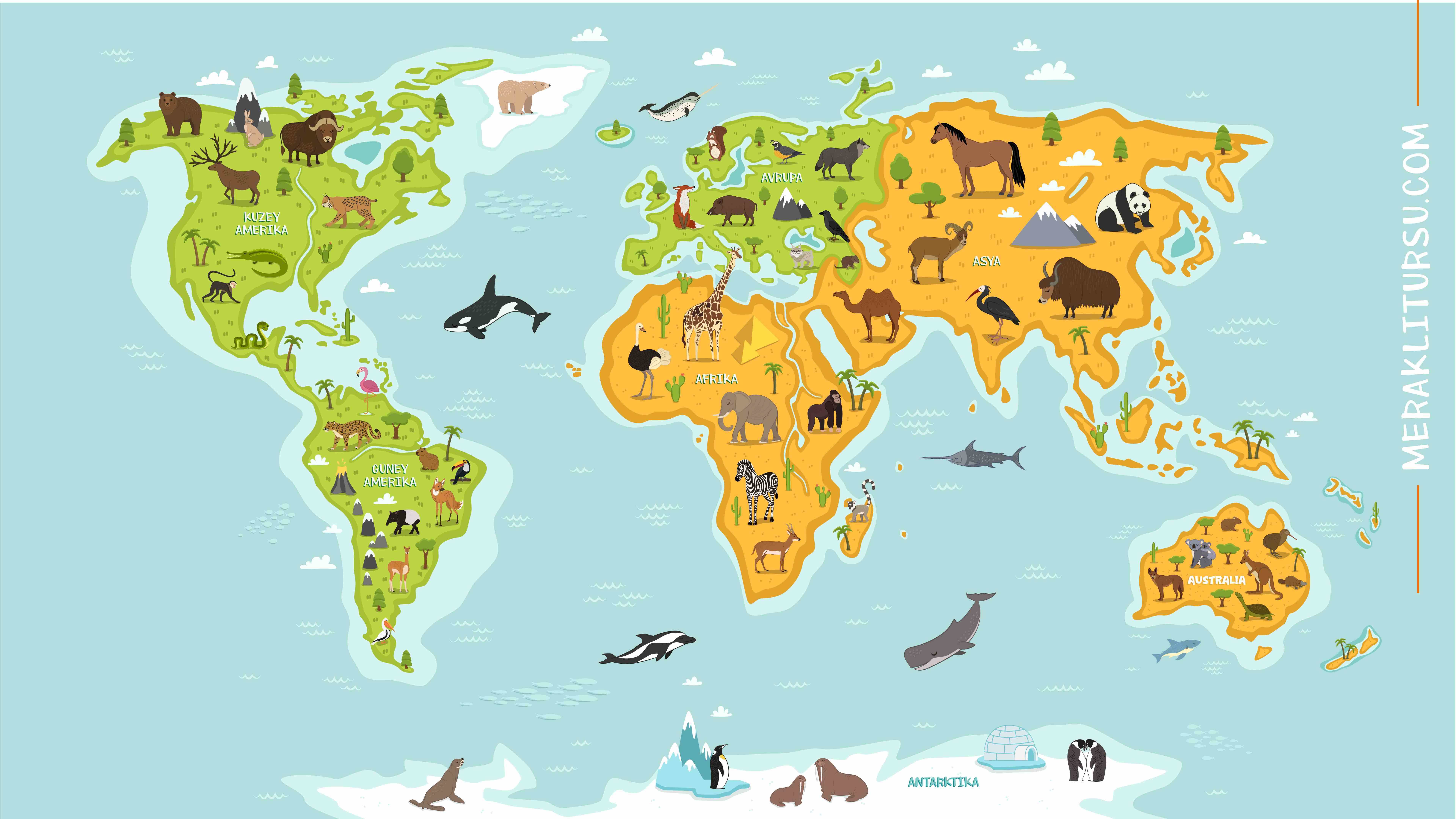 Yuvam, güzel yuvam!